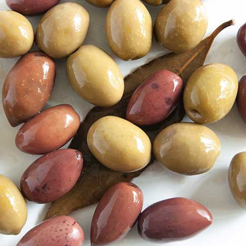 Organic Mixed Greek Olives