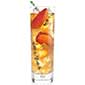 Tea Forte Green Mango Peach Iced Tea - Green Tea