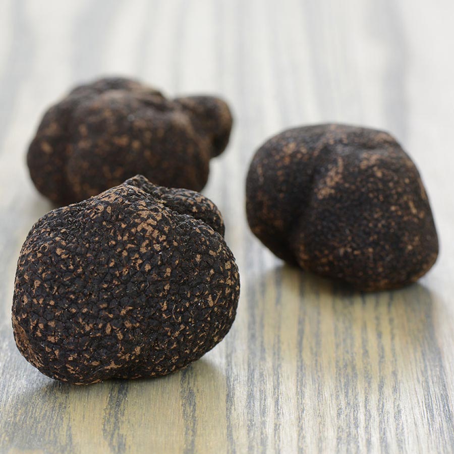 Fresh Australian Black Winter Truffles
